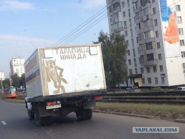 Подборка прикольных фото/картинок