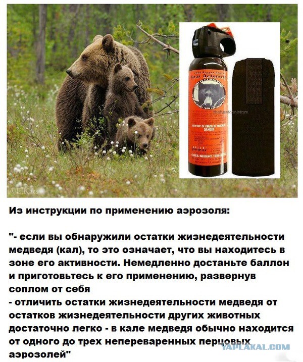 Немного картинок и демотиваторов