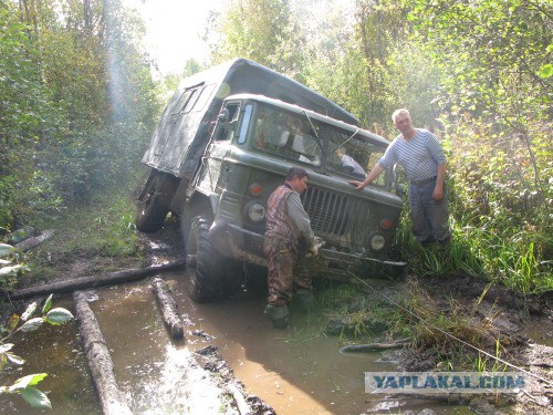 Веппский край, Южная тайга