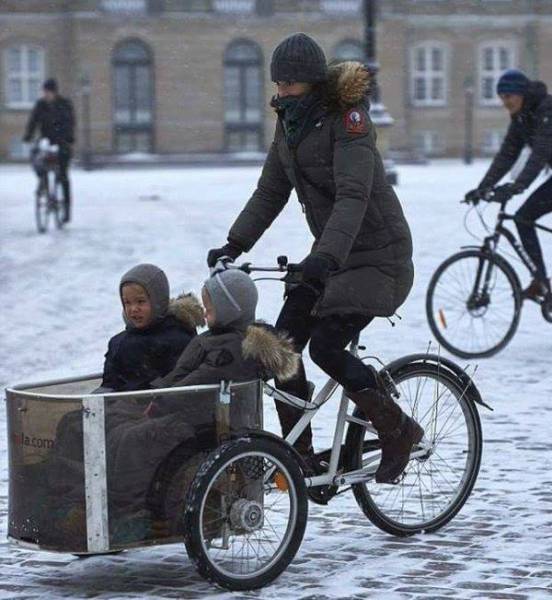Весёлые картинки