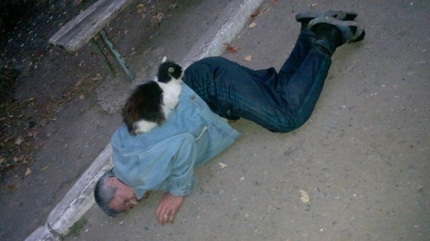 Ужасы и приколы из соцсетей 18+