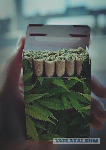 Картинки из сети, подборка