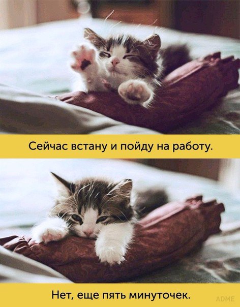 Подборка картинок на среду