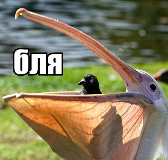 Картинки разные