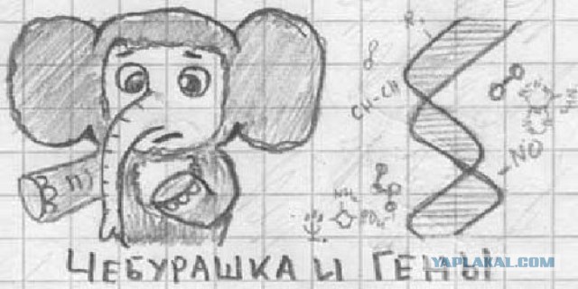 Абсурдная субботница