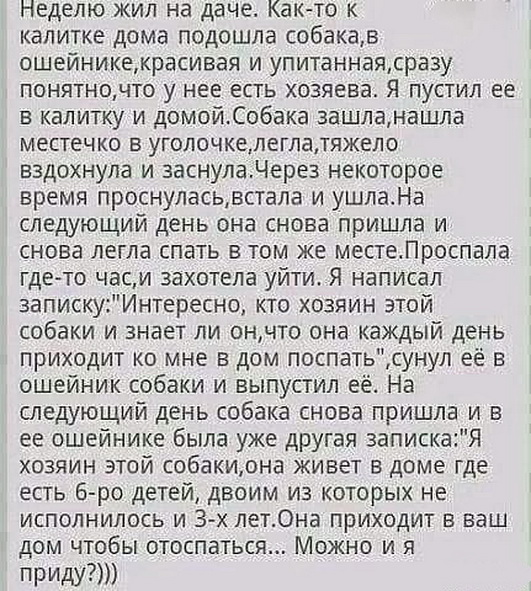Одна дома
