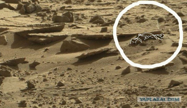 На фотографии с Марса обнаружен придавленный каменной плитой труп марсианина
