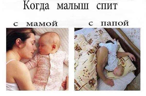 Интересные и веселые картинки