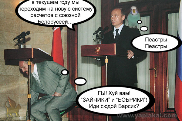 Барсик и Кеша (жесть)