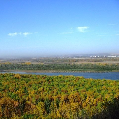 Порция картинок