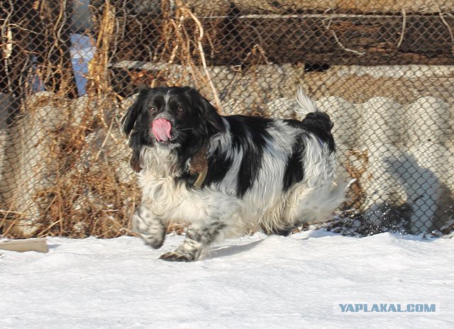 О жизни, смерти и любви. Взрослые сказки ©Ятаган