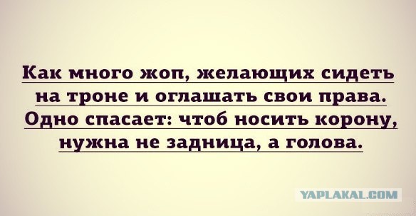 Смотри приколы и тупей