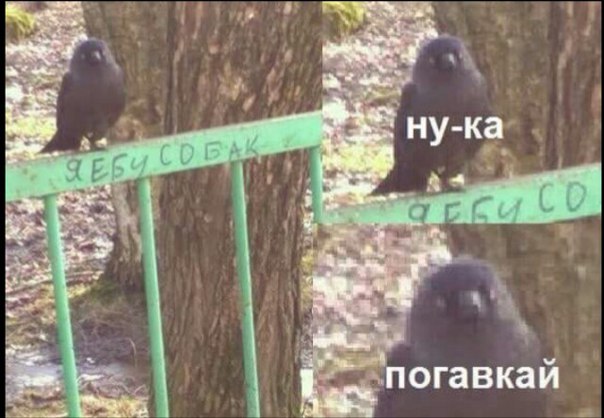 Адовый трэш и идиотизм со всей Галактики