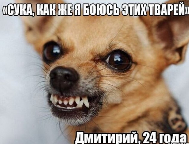 Всякое неожиданное случается