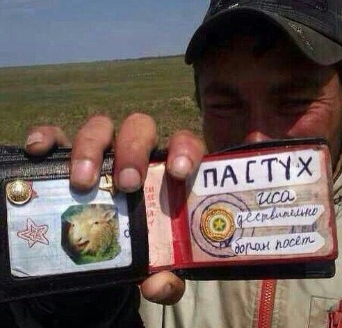 Да вы чё в самом-то деле?