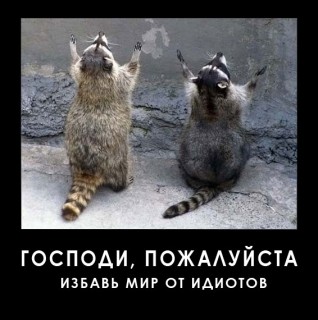 Собчак поддержала пенсионную реформу: Если вы хотите на пенсию в 55, что-то пошло не так с вашей жизнью