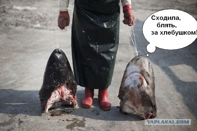 Рынок акульих плавников