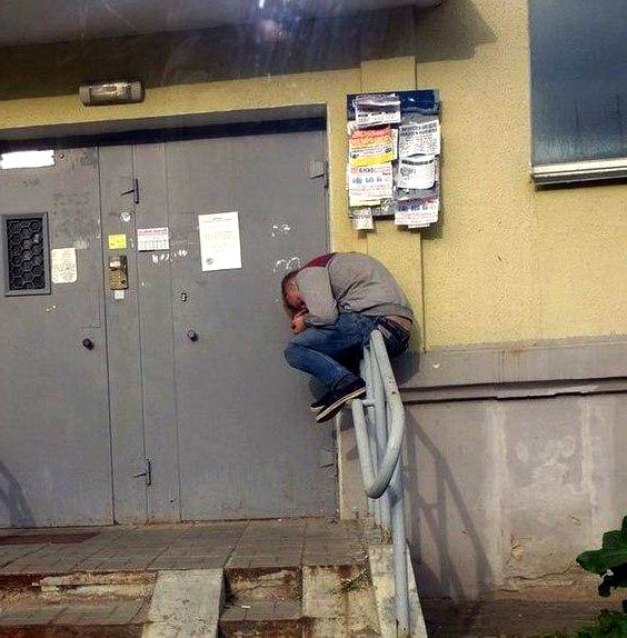 Выловлено в наших сетях