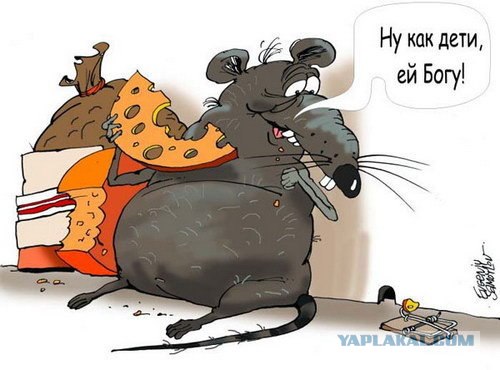 Везучая мышь