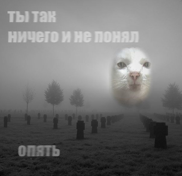 Естественный отбор – ветер северный