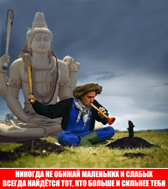 Охота на сусликов