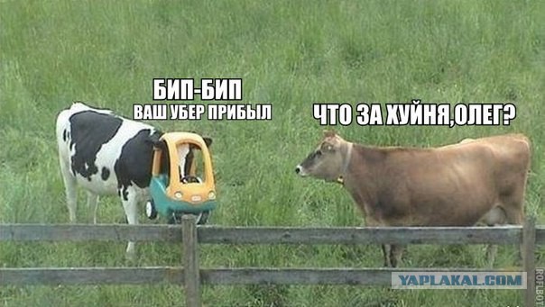 Кретизмы из сети 17.01.21