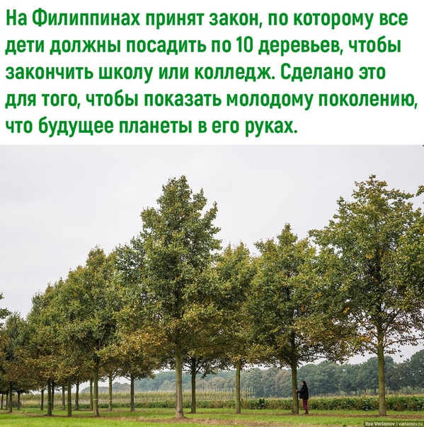 Картинки и мемы для настроения