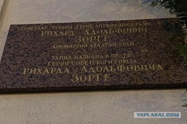 Доктор Зорге