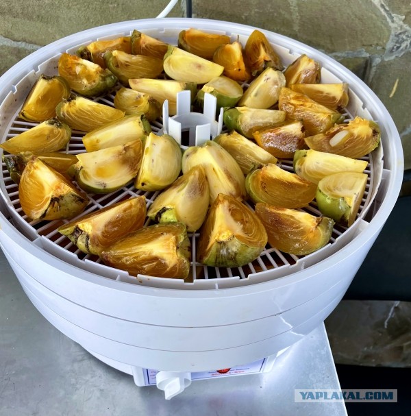 Кулинарная общалка