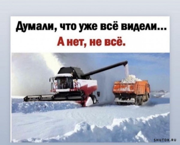 Всяческие картинки 22.11.2021