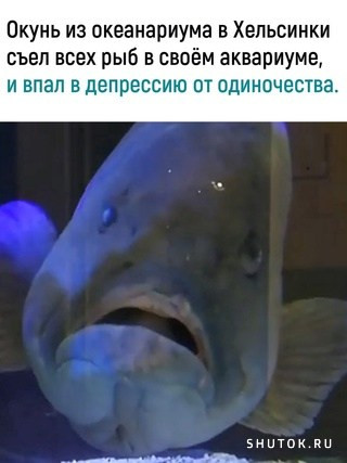 Юмор и картинки разные