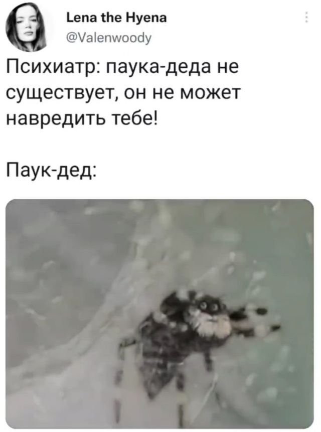 Весёлый полтишок 10.11.22