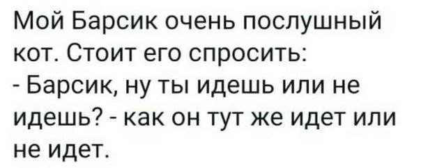 Народная меДИЧина 7016