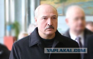 Борьба с коррупцией у Батьки