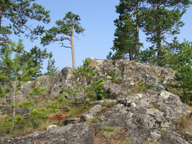 Трое в лодке