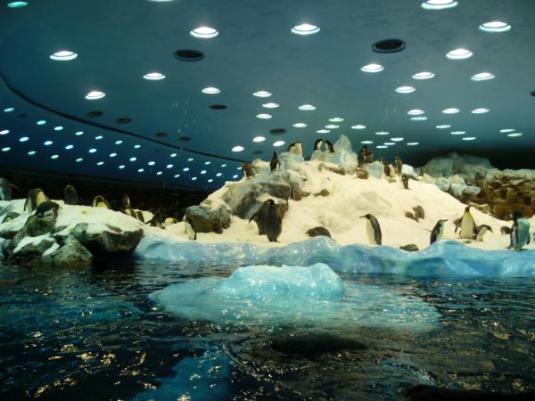 Хочу дачу на канарах!