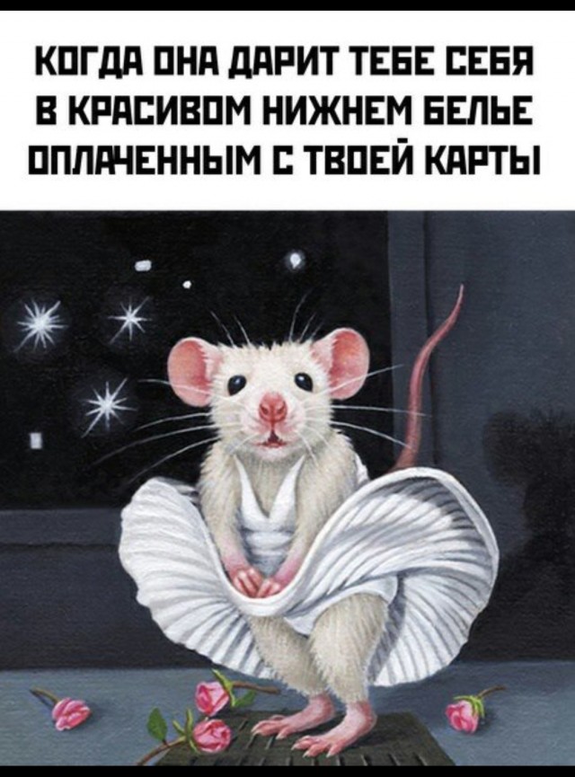 Весёлый полтишок 20.05.24
