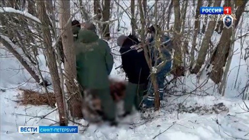 В Петербурге хотят следить за мигрантами по камерам и запретить им работать курьерами