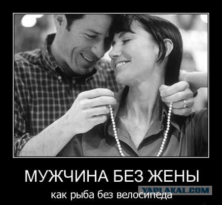 Разница между холостяком и женатым