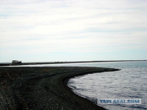 Алаколь. Всё включено отдыхать хорошо, а дикарями лучше