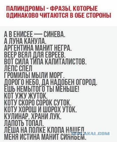 Куча мала 7
