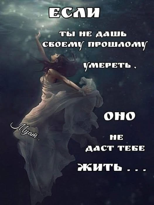 Если жизнь дала тебе лимон — сделай лимонад. Если жизнь дала тебе помидор — не пытайся сделать лимонад