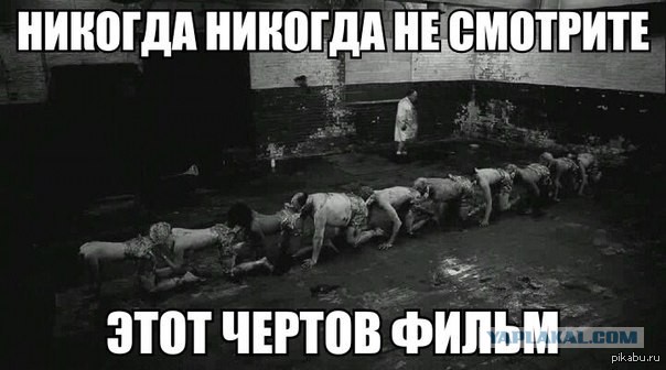 Мыши идут строем.