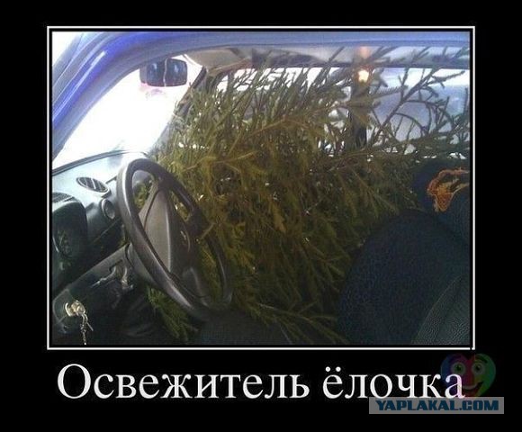 Смешные картинки и комментарии