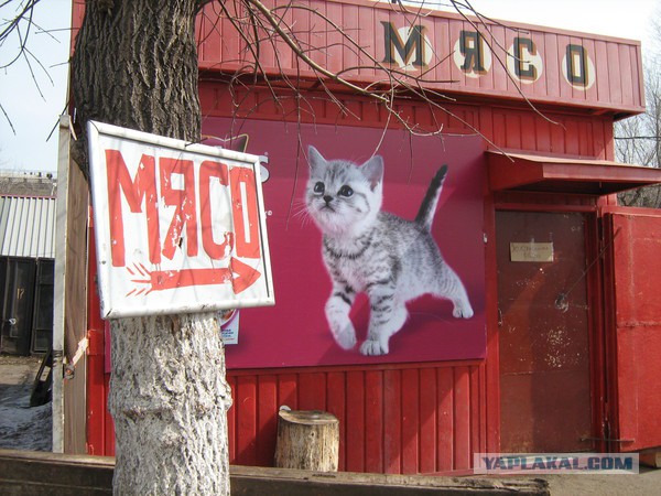 Рекламные ляпы