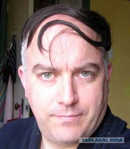 Из-за занавески