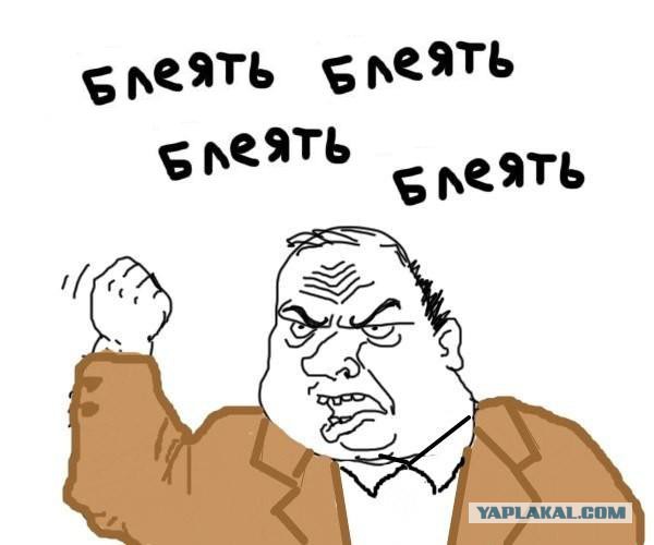 Крым Евпатория пьяный депутат ЛДПР опозорил партию