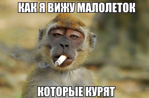 Интересные и веселые картинки