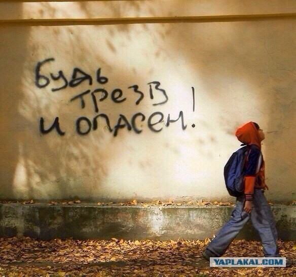 Подборка интересных и веселых картинок