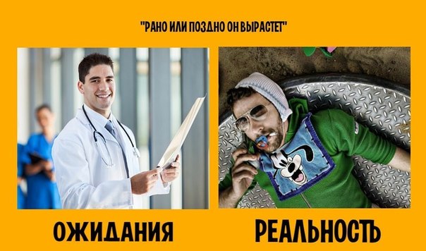 Забавные картинки из сети